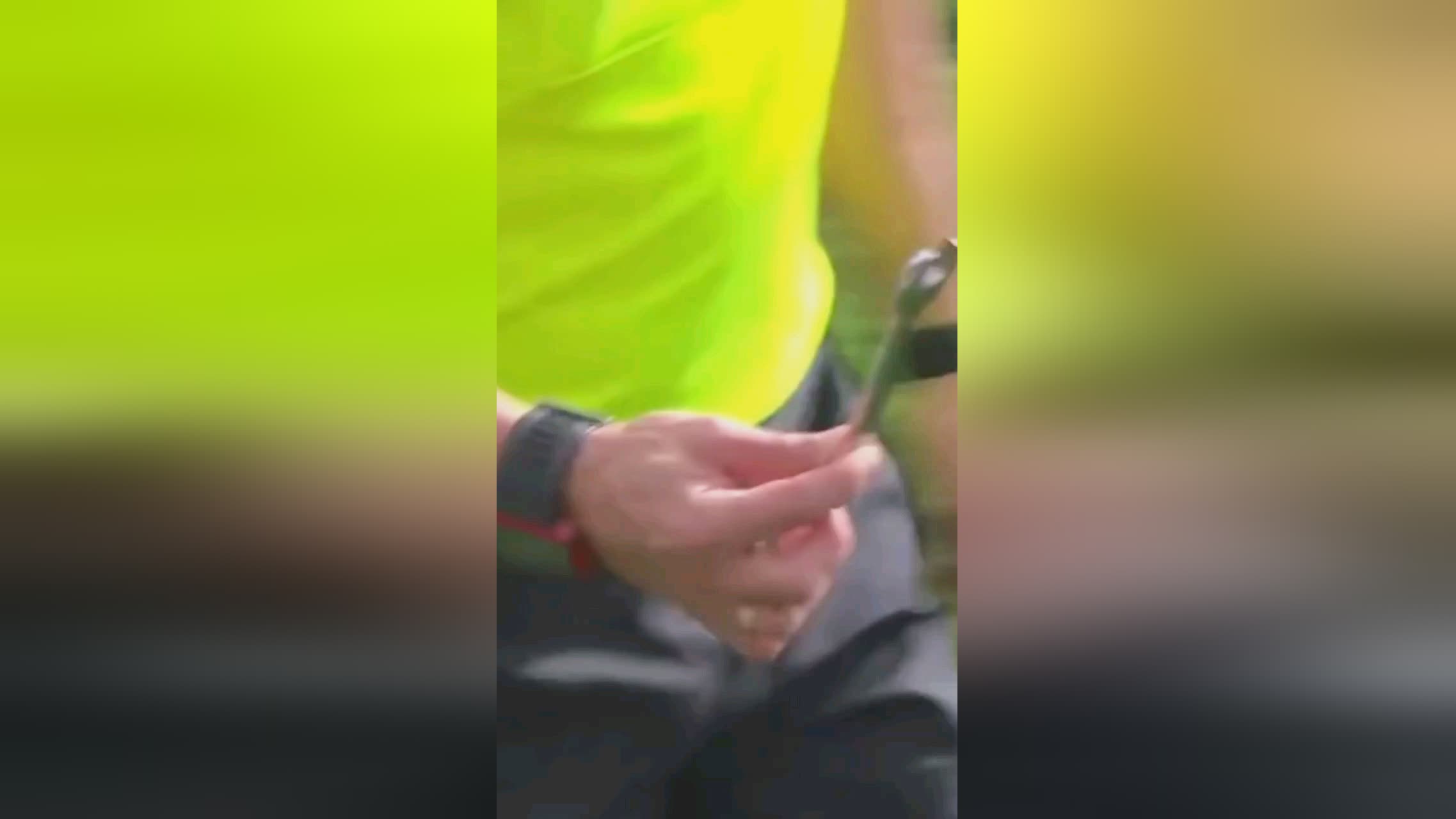 了球