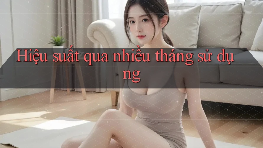 Hiệu suất qua nhiều tháng sử dụng Hiệu suất qua nhiều tháng sử dụng